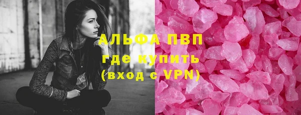 сатива Вяземский