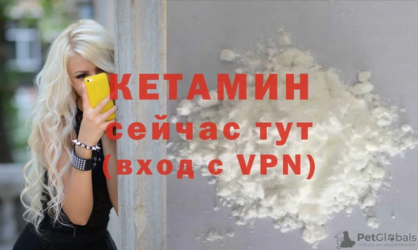 сатива Вяземский