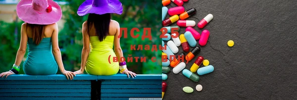 сатива Вяземский