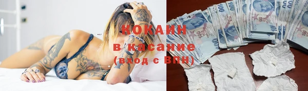 дмт Горно-Алтайск