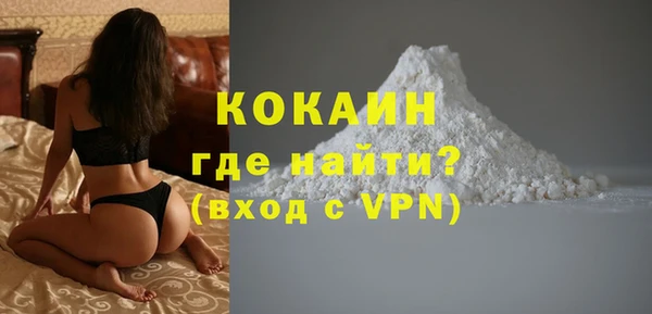 сатива Вяземский