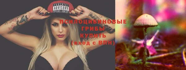 сатива Вяземский