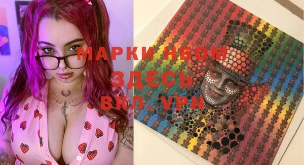 сатива Вяземский