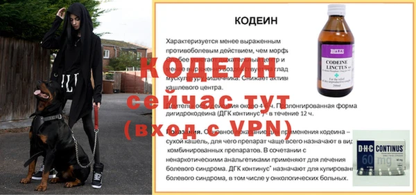 дмт Горно-Алтайск