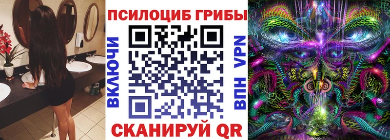 дарнет шоп  Калуга  Псилоцибиновые грибы Psilocybine cubensis 